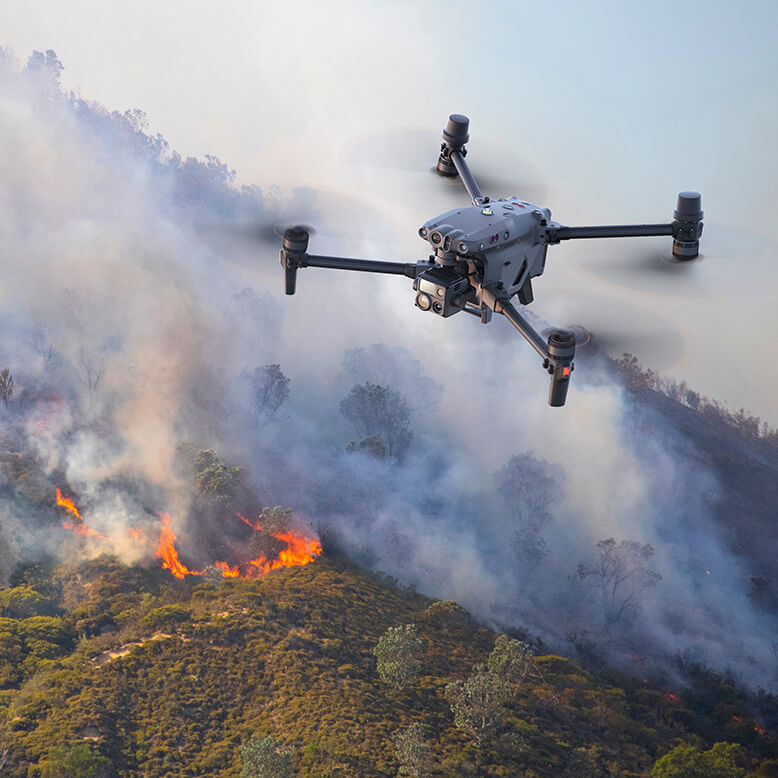ความปลอดภัยสาธารณะ
